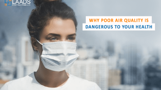 <strong>Why Poor Air Quality Is Dangerous to Your Health</strong>
